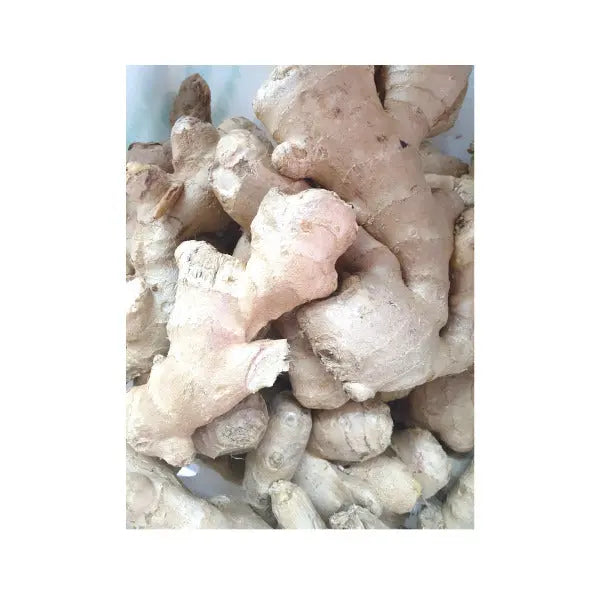 Fresh Ginger My Store