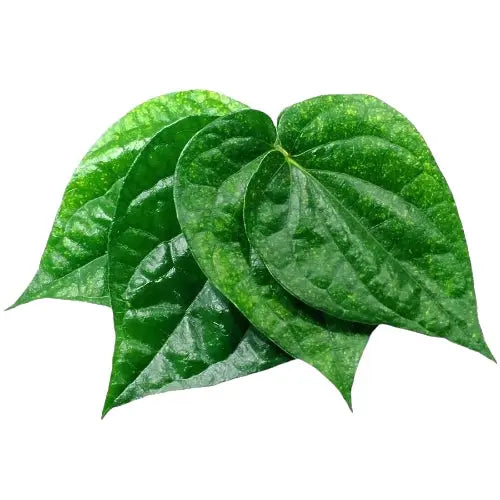 Fresh Indian Betel Leaves, 100g My Store