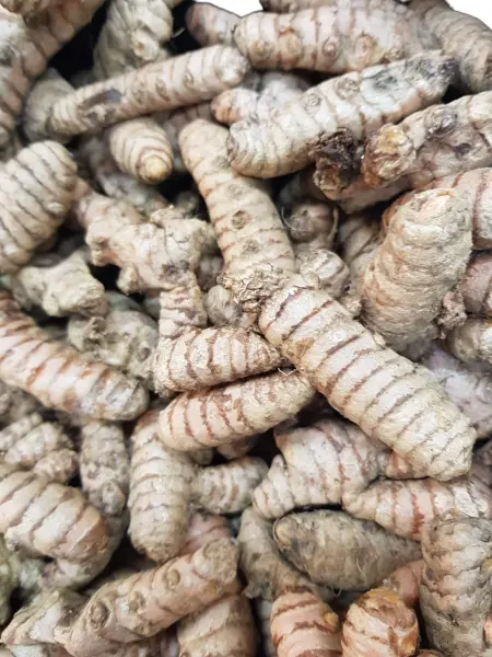 Fresh Raw Turmeric Root (Kurkuma) My Store