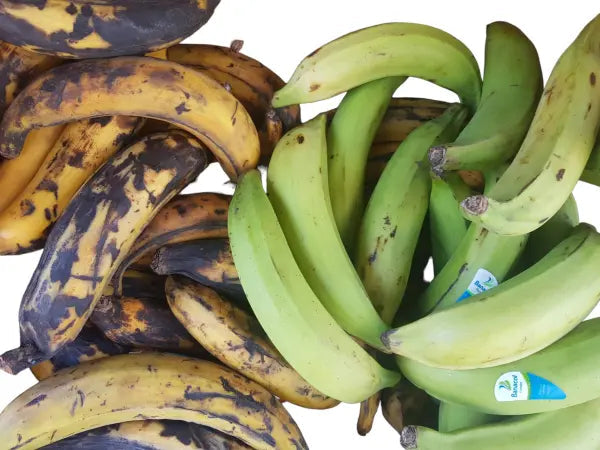 Plantain (Bakbanaan) – Versatile & Nutritious Cooking Banana My Store