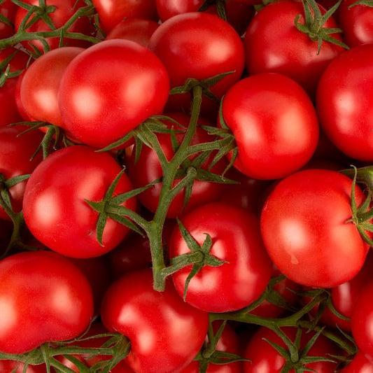 Tomatoes - 1KG. My Store