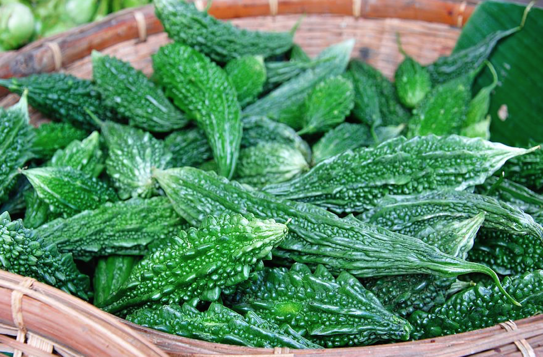 Karela - Bitter Melon, 500 grams My Store
