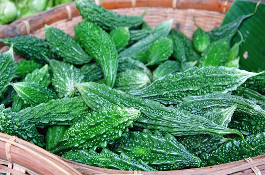 Karela - Bitter Melon, 500 grams My Store