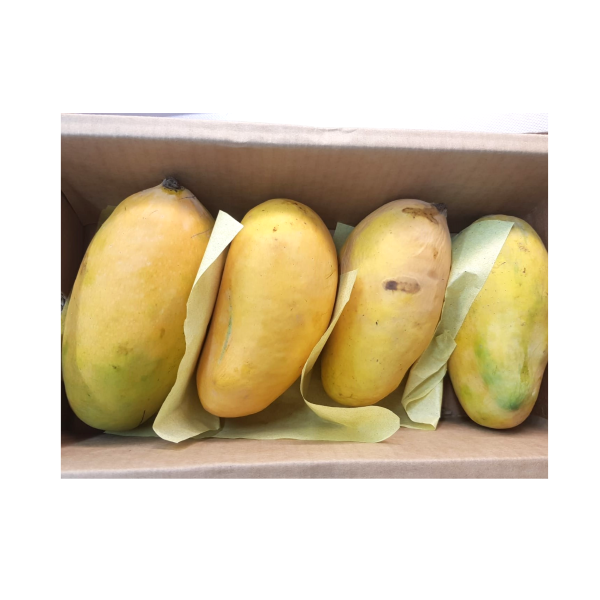 Sindhri Mangoes